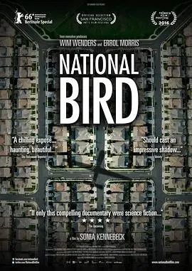 《国鸟》影评:战争阴影下的心灵救赎,2023重制能否带来新生?
